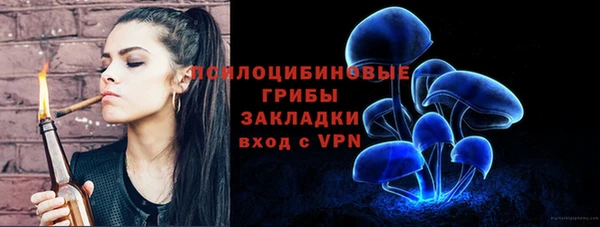 2c-b Алзамай