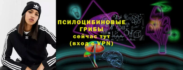 PSILOCYBIN Алексеевка
