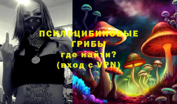 2c-b Алзамай