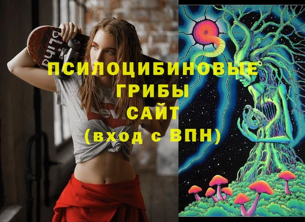 2c-b Алзамай