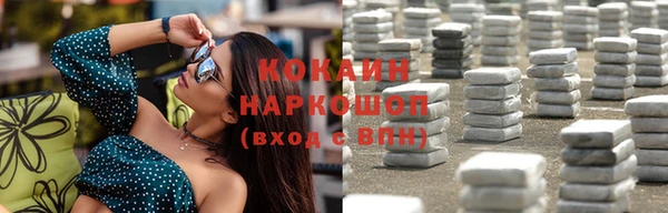 крисы Новодвинск